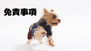 免責事項